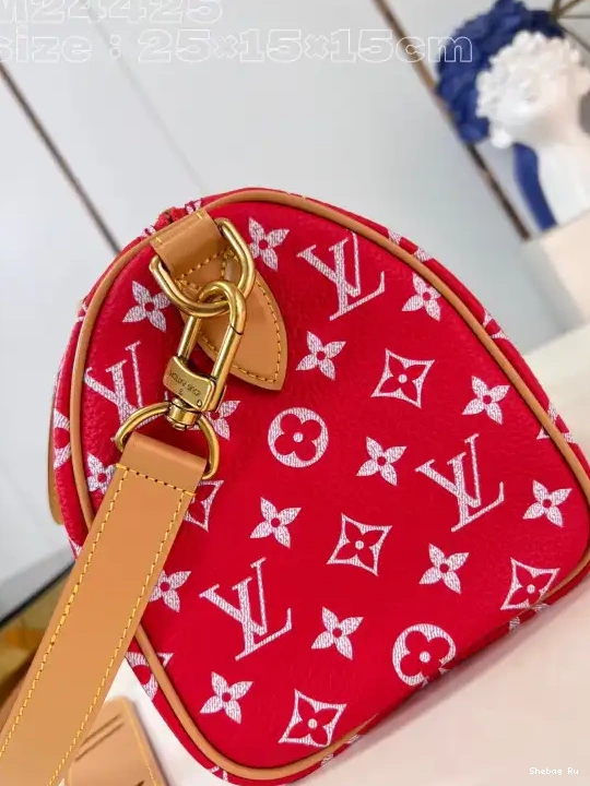 25 Vuitton Louis SPEEDY 0524
